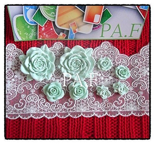 rose set mold 21 N2