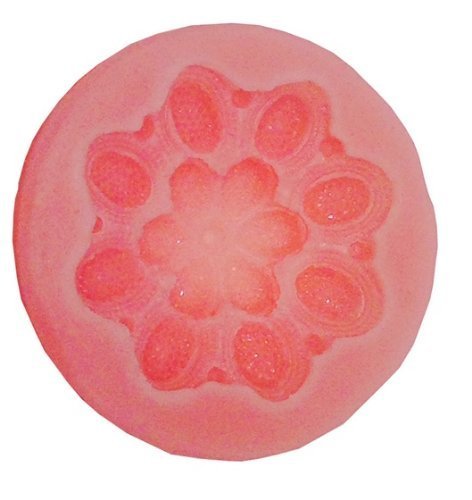 Oasis Supply Large Medallion Flower Mold, Silicone N2