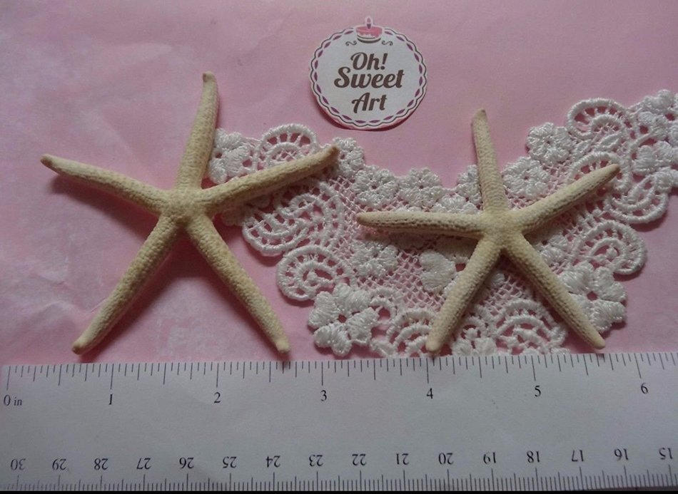 SEA Stars, Set of Two Silicones Mold Silicone Mold Cake Decorating Sugar Flower FDA Approved