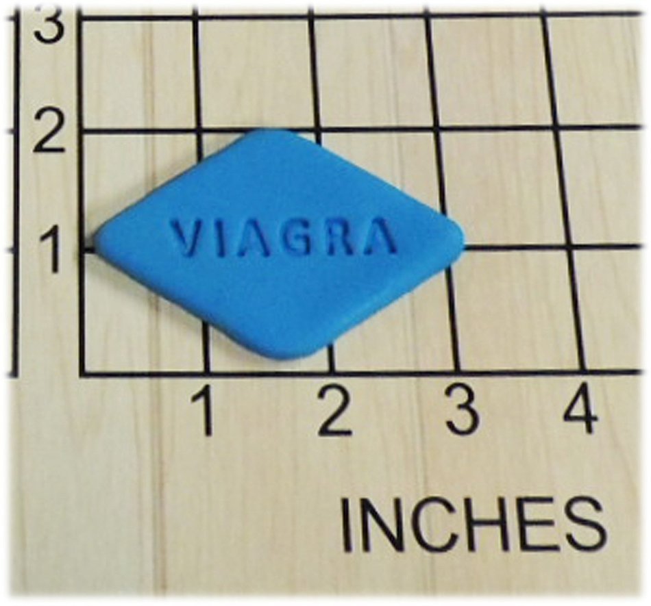 Viagra Shaped Fondant Cookie Cutter and Stamp #1399