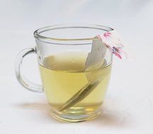 Mollo Tea Bag - Idea Leaf Tea Infuser - Disposable Variation Line N18
