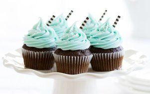 Pridebit Cupcake/Cake Decorating Tips 5 Extra Large (4 Classic Tips+1 Ruffle Tip) Stainless Steel Piping Icing... N7