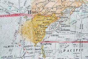 Voyage of the Beagle Series Artisanal Cotton Insulated Tea Cozy - World Map Muted Tones- 4 Sizes