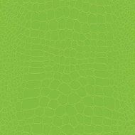 The Gift Wrap Company 6, Count Premium Wrapping Paper Rolls, Later Gator, Lime N4