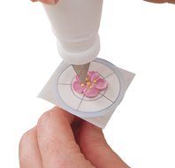 Wilton Flower Nail Templates N2