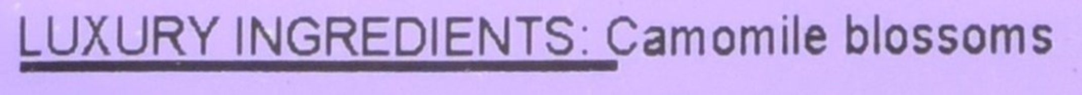 Metropolitan Tea 50 Count Pyramid Shaped Teabags, Peppermint Willamette Tea N2