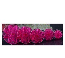 Anyana 5pcs set Chrysanthemum Plastic Plunger And Cookie Cutter Cake Mould Tool Kitchen Tool Sugar Paste Baking... N2