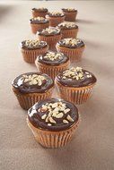 Wilton Recipe Right Covered Muffin Pan N2