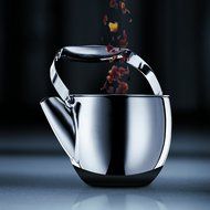 Bodum Columbia 40-Ounce Thermal Tea Press, Stainless Steel N2