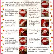 Swity Home Rose Flower Cake Mold-Cake Decorating Gumpaste Flowers, The Easiest Rose Ever N2