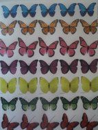 70 Edible Butterflies Multicolored &amp; Assorted