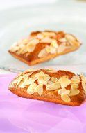 Silikomart SF025/C Silicone Classic Collection Mold Shapes, Financiers, Small