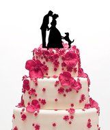 Ecape Acrylic Cake Topper of Engagement and Wedding with Bride and Groom and Their Lovely Cat Pack of 1 N13