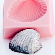 Sea Shell Silicone Mold Food Safe Fondant, Chocolate, Candy, Resin, Polymer Clay, Soap, Craft, Jewelry Food Mold. N2