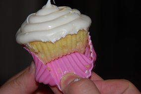 Bakers Delight: Silicone Baking Cups N5