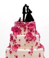 Ecape Acrylic Cake Topper of Engagement and Wedding with Bride and Groom and Their Lovely Cat Pack of 1 N15