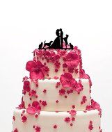 Ecape Acrylic Cake Topper of Engagement and Wedding with Bride and Groom and Their Lovely Cat Pack of 1 N19