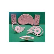 ORCHARD Flower Swan Cutter Set and Moulds