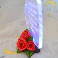 Gift Garden Heart Shaped LED Light N18