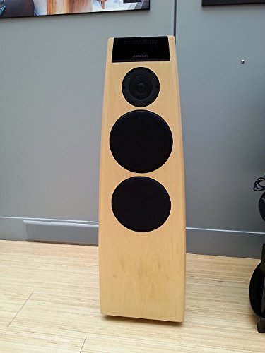 Meridian DSP-5500BK Speakers - Each