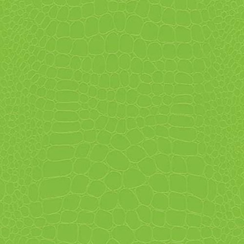 The Gift Wrap Company 6, Count Premium Wrapping Paper Rolls, Later Gator, Lime N4