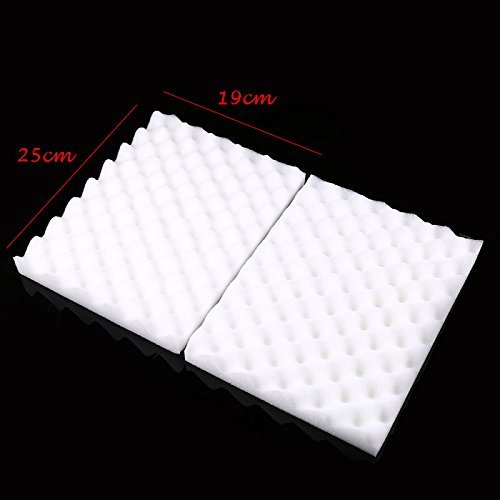 Whosee 2Pcs Fondant Cake Flower Mold Dry Foam Sponge DIY Baking Sugarcraft Mold Tools N7