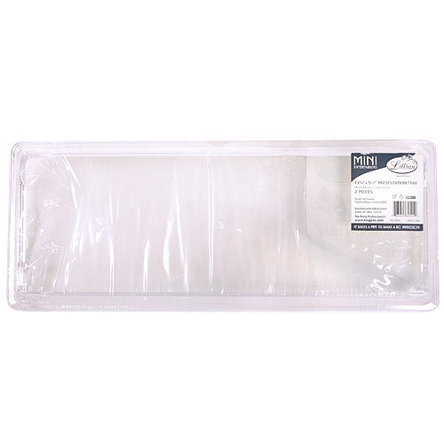 Lillian Tablesettings 2-Piece 5.5 by 13.5-Inch Rectangle Presentation Trays Set, Mini N2