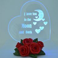 Gift Garden Heart Shaped LED Light N25