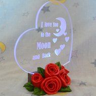 Gift Garden Heart Shaped LED Light N26