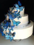 Edible Butterflies &copy; - Assorted Set of 30 Blue- Cake Decorations, Cupcake Topper