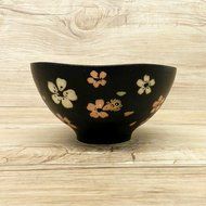 Ghibli My Neighbor Totoro Mino ware bowl From Japan New