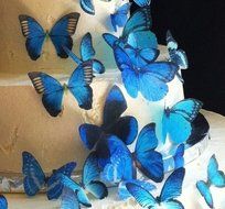 Edible Butterflies &copy; - Assorted Set of 30 Blue- Cake Decorations, Cupcake Topper N3