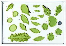 PME 40-Piece Jem Leaf Plastic Cutter Set, Set of 3