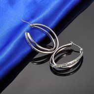 HooAMI Stainless Steel Womens Double Oval Hoop Earrings with Clear CZ Crystal N11