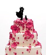 Ecape Acrylic Cake Topper of Engagement and Wedding with Bride and Groom and Their Lovely Cat Pack of 1 N34