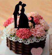 Ecape Acrylic Cake Topper of Engagement and Wedding with Bride and Groom and Their Lovely Cat Pack of 1 N37