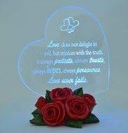 Gift Garden Heart Shaped LED Light N31