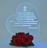 Gift Garden Heart Shaped LED Light N33