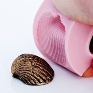 Sea Shell Silicone Mold Food Safe Fondant, Chocolate, Candy, Resin, Polymer Clay, Soap, Craft, Jewelry Food Mold. N6