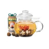 Pta4002 - Primula Flowering Tea Pot Set