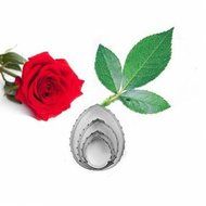 UR Bakeware 3 Set 11Pcs Rose Cookie Cutter Stainless Steel Cake Mold Petal Calyx Leaf Mould N5