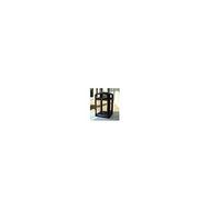 Rubbermaid Commercial Products Security Panel for 35-Gallon Landmark Series Container (Clear) (FG400600CLR )