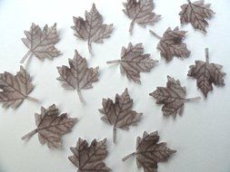 32 Fall Light Brown Maple Leaf Decorative Wafer Paper Leaves&copy; Very Small 0.75&quot; Size Cake Decorations Cupcake Toppers N2