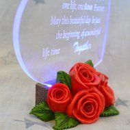 Gift Garden Heart Shaped LED Light N39