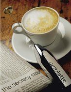 aerolatte Original Electric Hand Held Milk Frother, Satin N10
