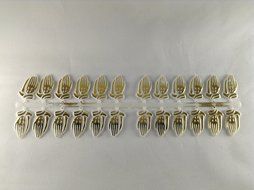 48 pcs Plastic Cake Topper Praying Hands White with Gold Favor Decorations