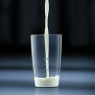 Bodum 10864-01G Latte Milk Frother Battery Operated Glass, 6 oz, Black N6