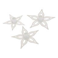 Y&amp;XL&amp;H DIY Pilea Boniana Pattern Cake and Cookie Cutter Mold (3 Pieces)
