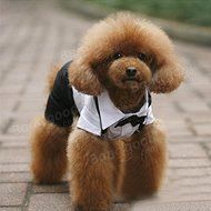 Pink Lizard Pet Dog Tuxedo Suit Bow Tie Collared Puppy Shirt Puppy Dog Wedding Outfit N5