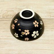 Ghibli My Neighbor Totoro Mino ware bowl From Japan New N7